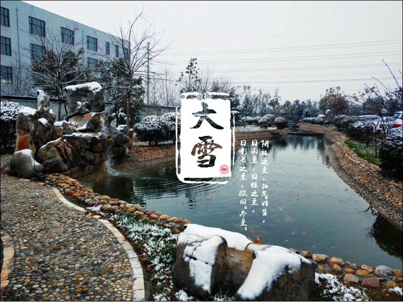 大雪已至，你那里“消白”了嗎？